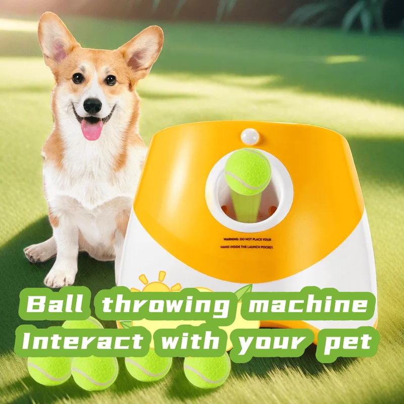 Dog Launcher Automatic Dogs Ch - Catapult Launcher Toy บทวิจารณ์และราคา