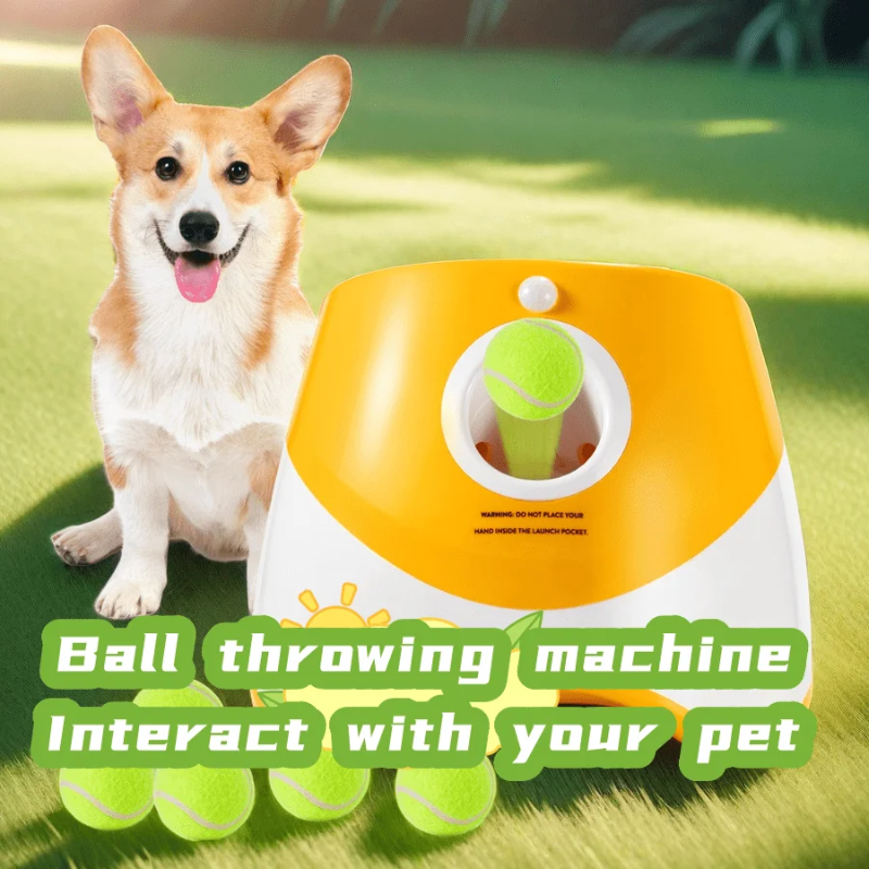Dog Launcher Automatic Dogs Ch - Catapult Launcher Toy บทวิจารณ์และราคา