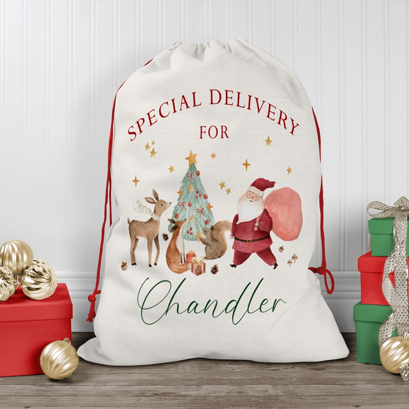 Personalised Name Christmas Dr - Kids Toys Names บทวิจารณ์และราคา