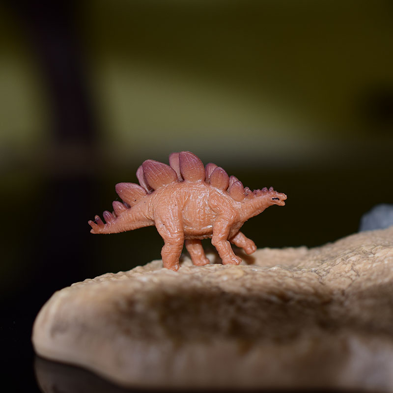 Miniatures Myth Dragon Wild An - Dinosaur Figurine Set บทวิจารณ์และราคา