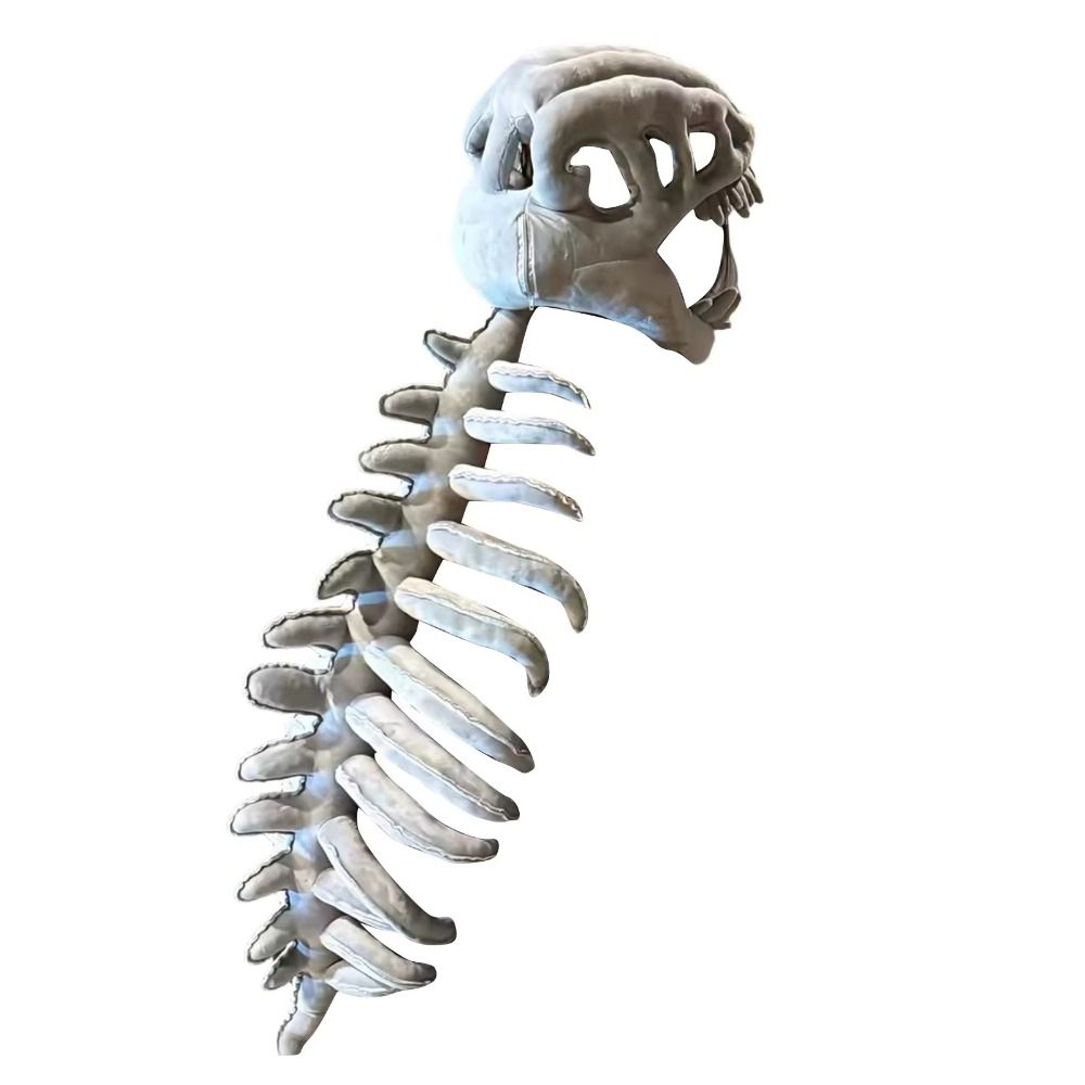 3D Dinosaur Skeleton Toys Funn - Dinosaur Figurine Set บทวิจารณ์และราคา
