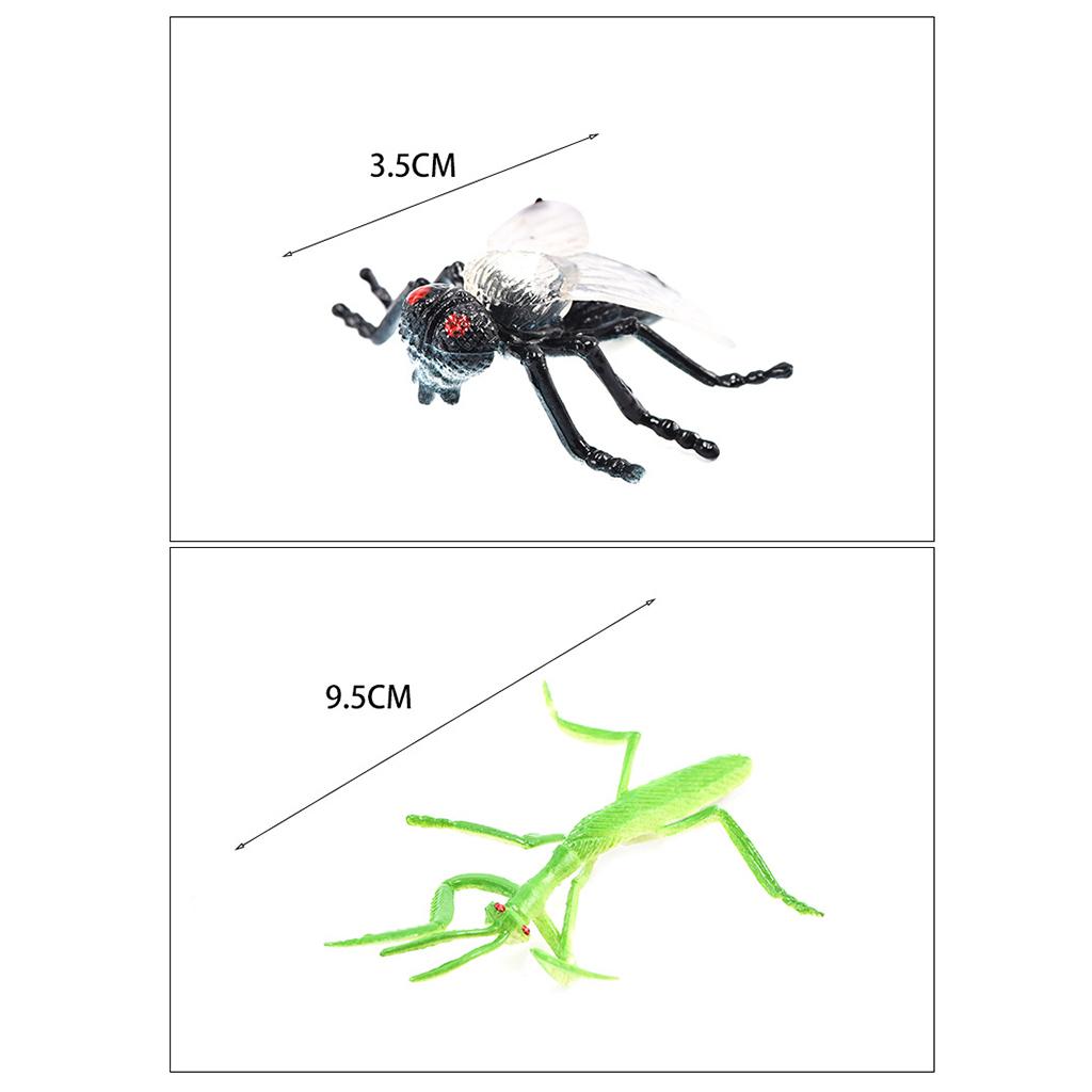 Simulation Animal Model Decora - Kids Toys In Store บทวิจารณ์และราคา
